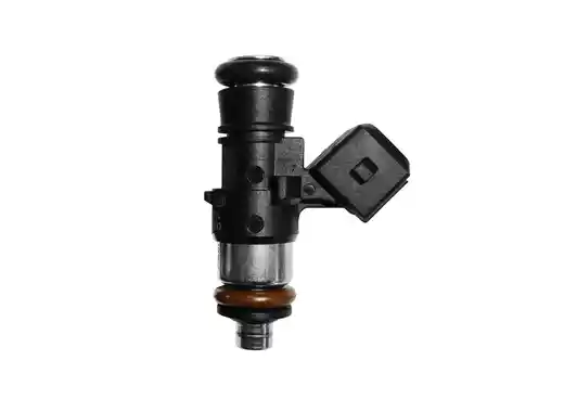 ASNU 2000 injector