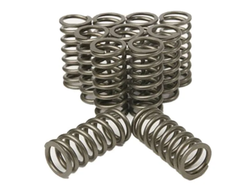 Plazmaman RB26 Heavy Duty Valve Springs